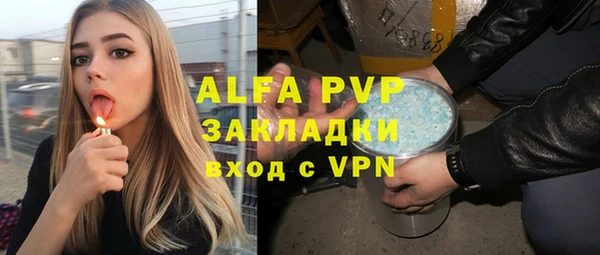 крисы Алексин