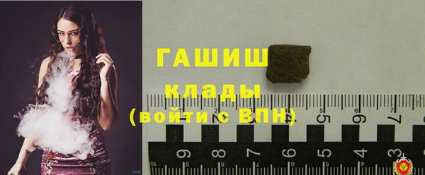 крисы Алексин