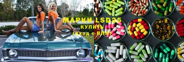 PSILOCYBIN Алексеевка