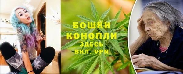 PSILOCYBIN Алексеевка