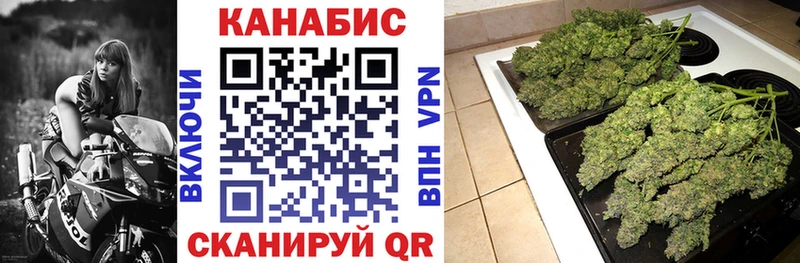 Бошки Шишки план  цены   Баймак 